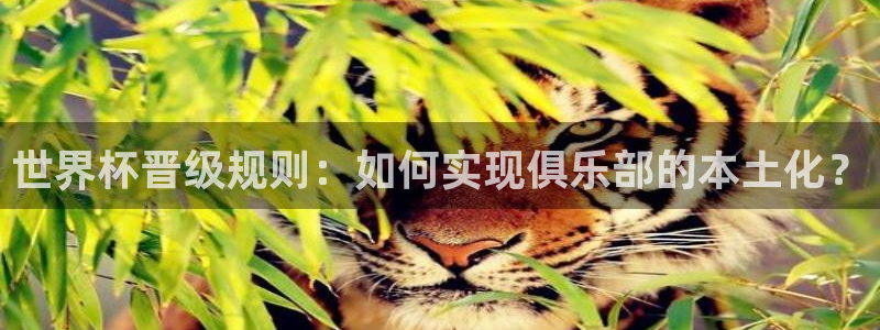世界杯欧洲区预选赛赛程:世界杯晋级规则:如何实现俱乐部的本土化?