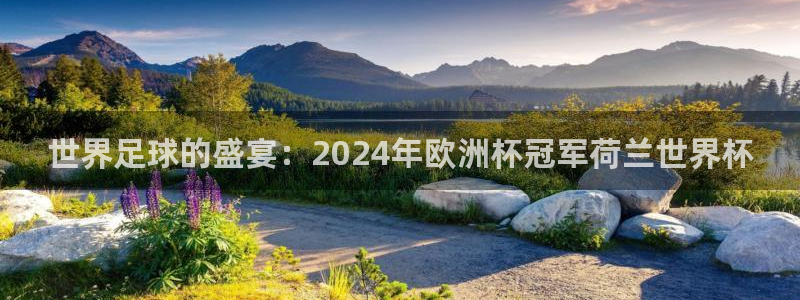 世界杯足球:世界足球的盛宴:2024年欧洲杯冠军荷兰世界杯