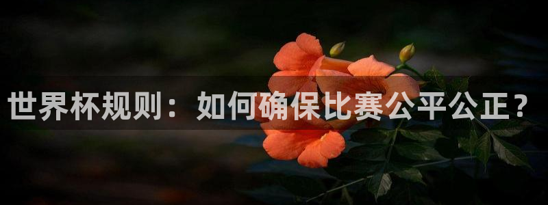 看世界杯:世界杯规则:如何确保比赛公平公正?