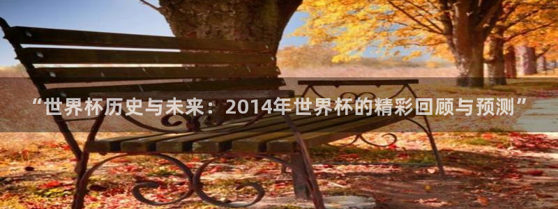 欧洲世界杯预选赛赛程:“世界杯历史与未来:2014年世界杯的精彩回顾与预测”