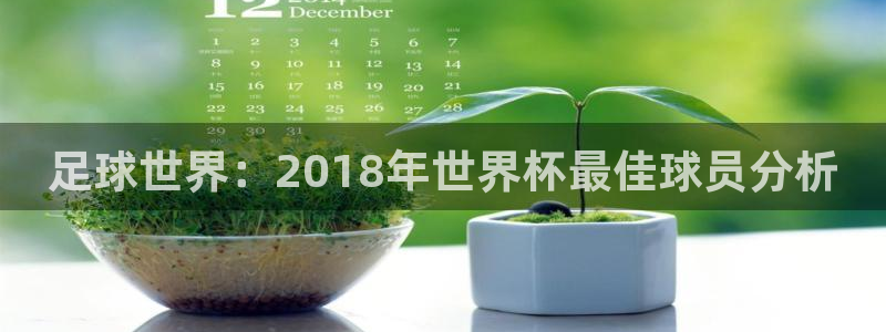2026年世界杯对阵图:足球世界:2018年世界杯最佳球员分析