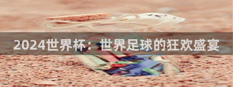2026世界杯足球赛程时间表:2024世界杯:世界足球的狂欢盛宴