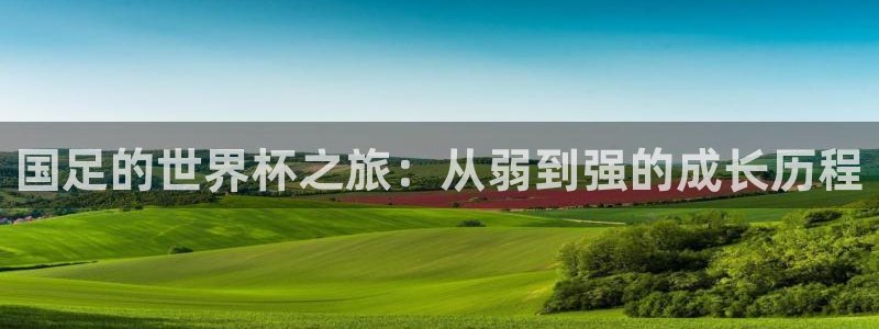 世界杯系列赛:国足的世界杯之旅:从弱到强的成长历程